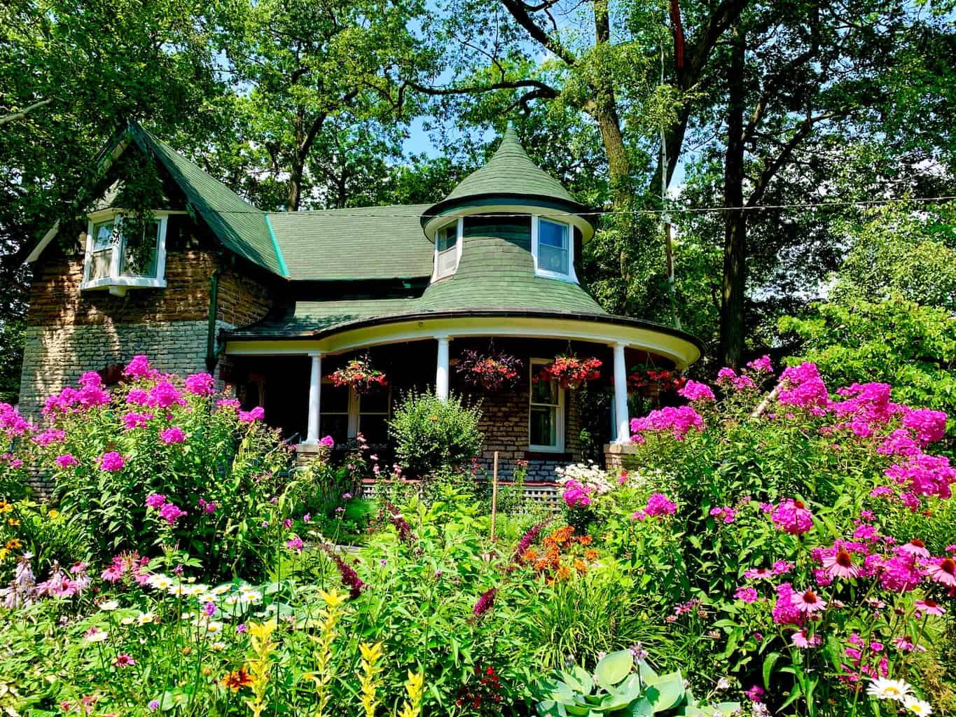 pink and yellow flowers beside green house at daytime