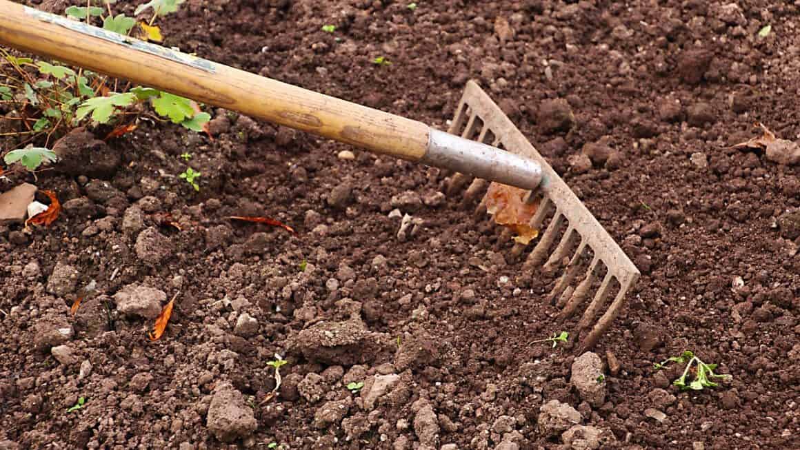10 tips for å drepe ugress i hagen
