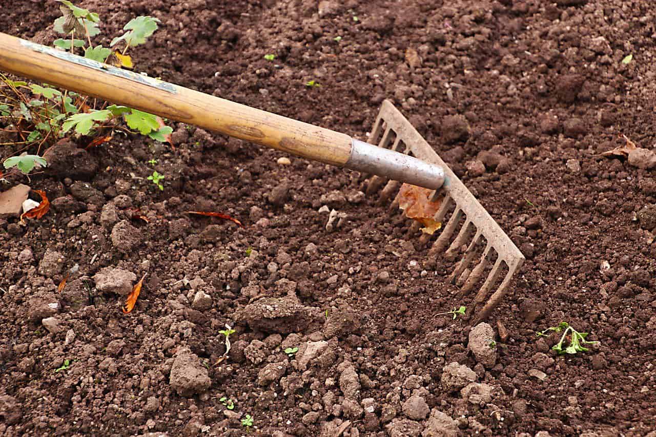 10 tips for å drepe ugress i hagen
